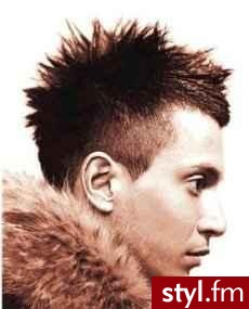 Punk Rock Alternatywne Średnie Fryzury