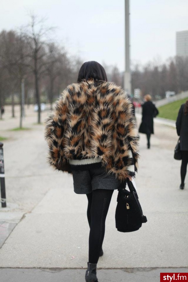 Bolerka Okrycia Moda