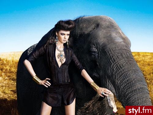 Bebe lato 2009 rok. - Pozostałe Ciuchy Moda