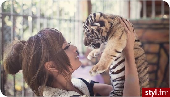 Brązowe Upięcie Proste z grzywką Na co dzień Krótkie Fryzury