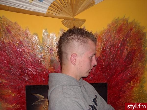 Punk Rock Alternatywne Średnie Fryzury