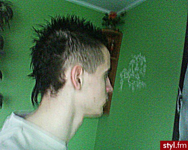 Punk Rock Alternatywne Średnie Fryzury