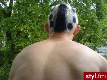 Punk Rock Alternatywne Średnie Fryzury