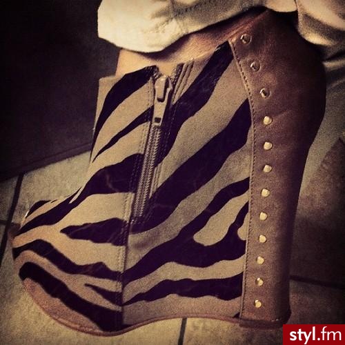 Koturny Buty Moda