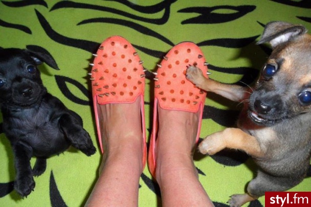 Balerinki Buty Moda