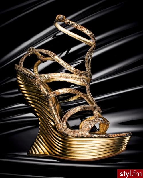 Koturny Buty Moda