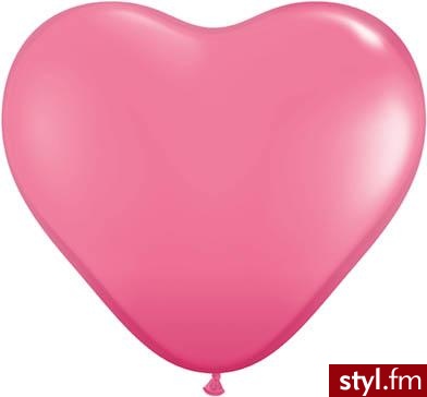 Zdjęcie dodane do bazy zdjęć Stylera - Styler