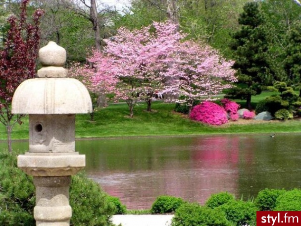 Japoński garden ;D - Misz-masz