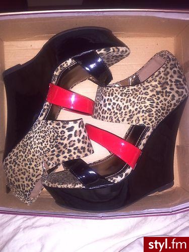 Koturny Buty Moda