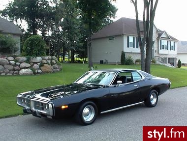 dodge - Misz-masz