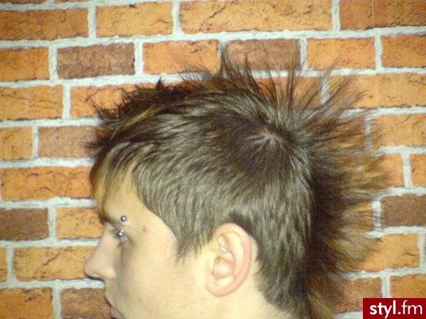 Punk Rock Alternatywne Średnie Fryzury