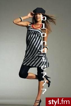 Styler