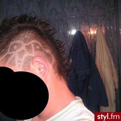 Punk Rock Alternatywne Średnie Fryzury