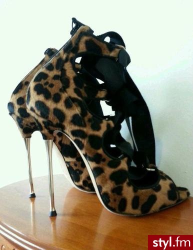 Szpilki Buty Moda