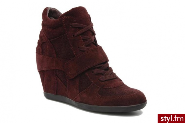 Ash MODNE TENISÓWKI BOWIE BY ASH (Fioletowy) - Koturny Buty Moda