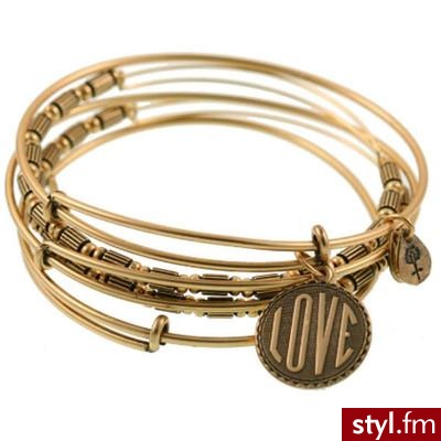 Alex and Ani Love Expandable Wire Bangle Set - Polyvore. Pobrano ze strony: http://www.polyvore.com/alex_ani_love_expandable_wire/thing?id=19557194 - Pozostałe Dodatki Moda