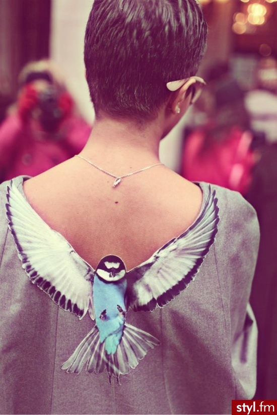 Pozostałe Ciuchy Moda