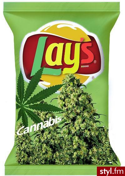 jest lays jest impreza xD - Misz-masz