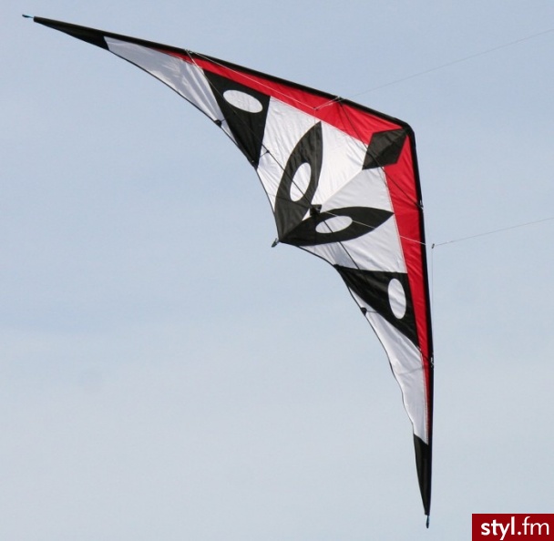 Gigantyczny Latawiec Akrobacyjny Cyclone 250X90 - Sportowe Buty Moda