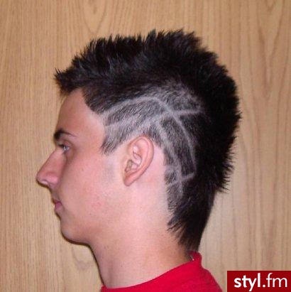 Punk Rock Alternatywne Średnie Fryzury