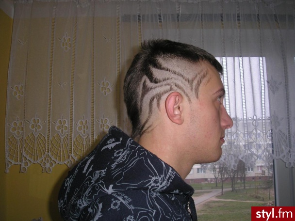 Punk Rock Alternatywne Średnie Fryzury