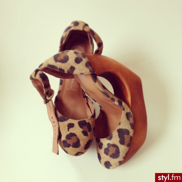 Koturny Buty Moda