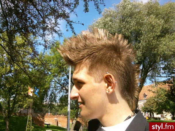 Punk Rock Alternatywne Średnie Fryzury