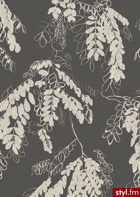 Misz-masz