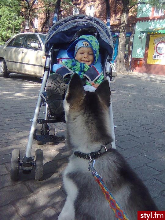 A co mi tam :P :) - Misz-masz