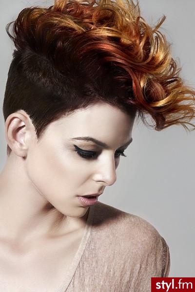 Punk Rock Alternatywne Krótkie Fryzury