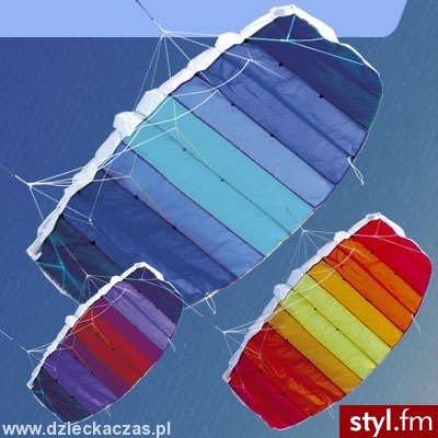 Didakites Latawiec Match - Sportowe Buty Moda