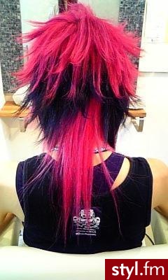 Punk Rock Alternatywne Średnie Fryzury