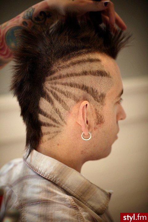Punk Rock Alternatywne Średnie Fryzury