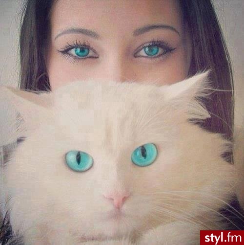 Misz-masz