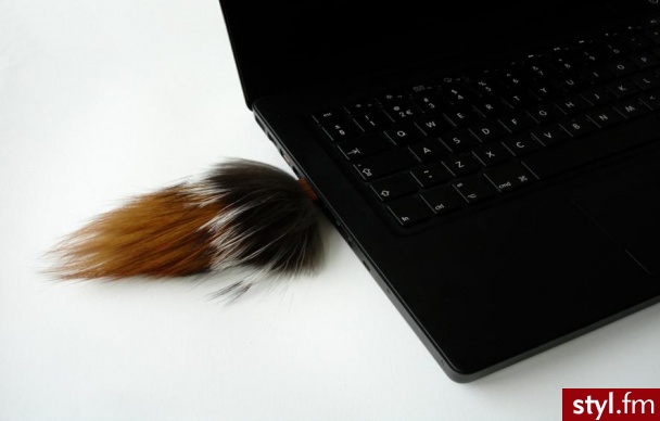 PenDrive ;] - Gadżety Inne Moda