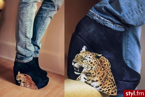Koturny Buty Moda