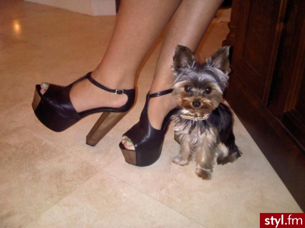 buty - Pozostałe Buty Moda