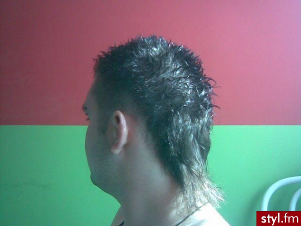 Punk Rock Alternatywne Średnie Fryzury