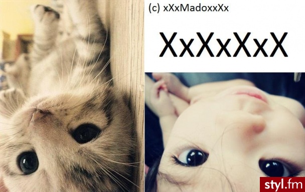 porównanie :) - Misz-masz