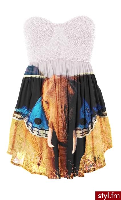 Sukienki Moda
