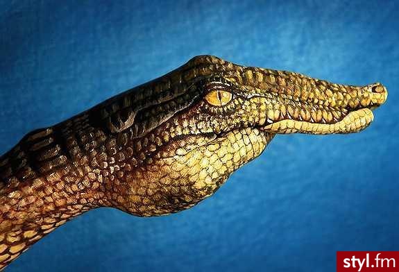hand painting - Misz-masz