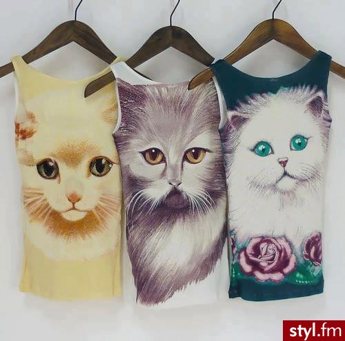 Bluzki Ciuchy Moda