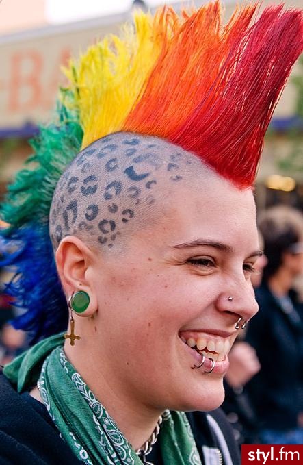 Punk Rock Alternatywne Średnie Fryzury