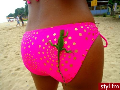 Na plażę Bielizna Moda