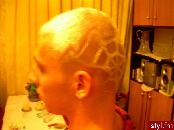 Punk Rock Alternatywne Średnie Fryzury