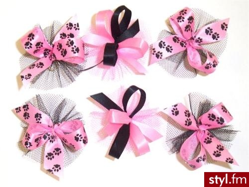 Pozostałe Dodatki Moda