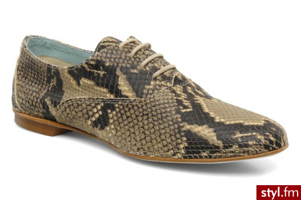 Fred De La Bretoniere BUTY SZNUROWANE LENE BY FRED DE LA BRETONIERE (Brązowy) - Pozostałe Buty Moda