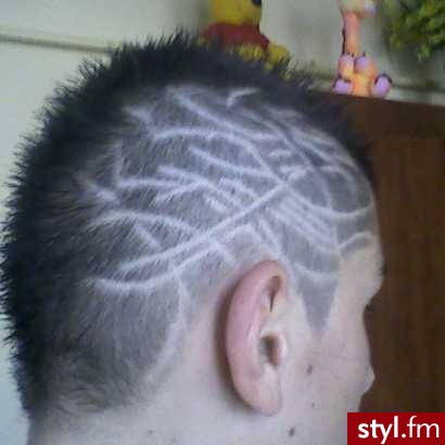 Punk Rock Alternatywne Średnie Fryzury