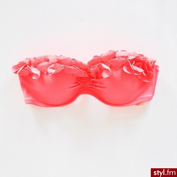 Biustonosze Bielizna Moda