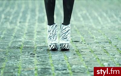 Koturny Buty Moda